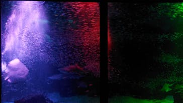 マリンワールド海の中道に投稿された画像（2024/7/14）