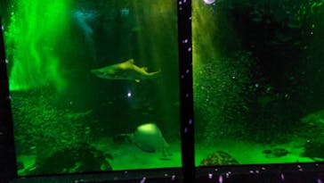 マリンワールド海の中道に投稿された画像（2024/7/14）