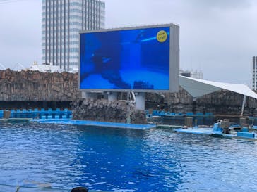 名古屋港水族館に投稿された画像（2024/7/14）