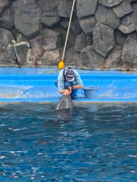 名古屋港水族館に投稿された画像（2024/7/14）