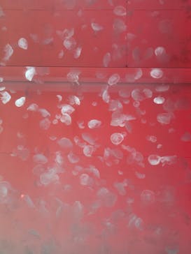 アクアワールド茨城県大洗水族館に投稿された画像（2024/7/14）