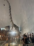 福井県立恐竜博物館に投稿された画像（2024/7/14）