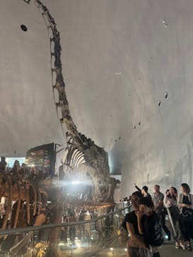 福井県立恐竜博物館に投稿された画像（2024/7/14）