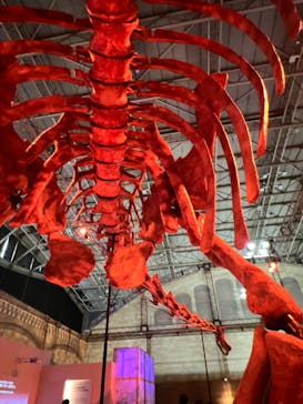 巨大恐竜展2024に投稿された画像（2024/7/14）