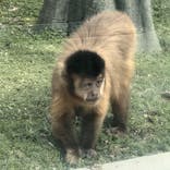 東武動物公園に投稿された画像（2024/7/14）