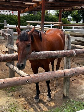 東武動物公園に投稿された画像（2024/7/14）