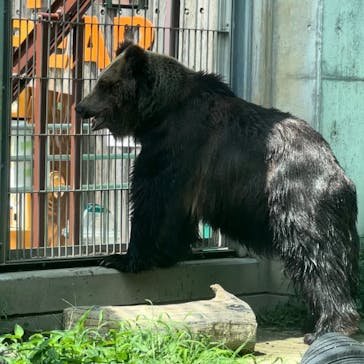 東武動物公園に投稿された画像（2024/7/14）