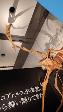 DinoScience 恐竜科学博 ～ララミディア大陸の恐竜物語～ 2024@OSAKAに投稿された画像（2024/7/14）