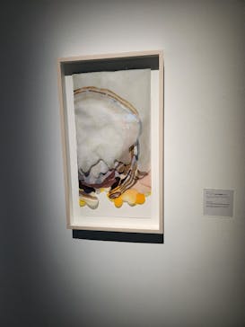 金沢21世紀美術館に投稿された画像（2024/7/14）