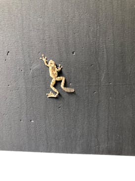 清津峡渓谷トンネルに投稿された画像（2024/7/14）