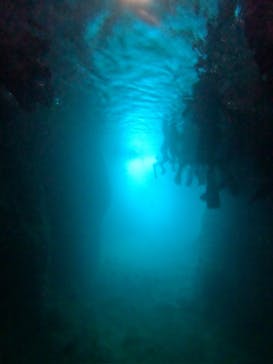 沖縄マリンサービス碧に投稿された画像（2024/7/14）