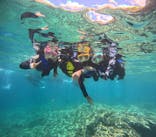 沖縄マリンサービス碧に投稿された画像（2024/7/14）