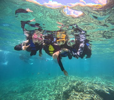 沖縄マリンサービス碧に投稿された画像（2024/7/14）