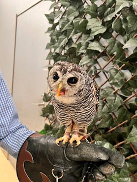 Moff animal cafe イオンモール幕張新都心店に投稿された画像（2024/7/14）