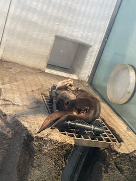 NIFREL（ニフレル）に投稿された画像（2024/7/14）