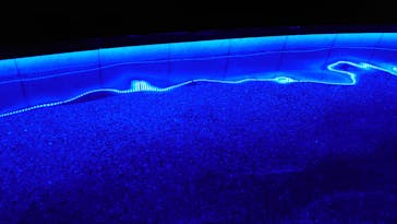 東京豊洲 万葉倶楽部に投稿された画像（2024/7/14）