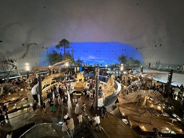 福井県立恐竜博物館に投稿された画像（2024/7/14）