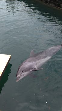 伊豆・三津シーパラダイスに投稿された画像（2024/7/14）