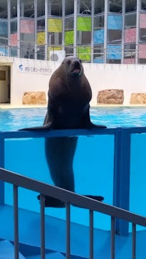 伊豆・三津シーパラダイスに投稿された画像（2024/7/14）