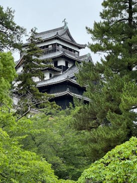 松江城に投稿された画像（2024/7/14）