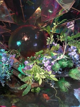 NARA KINGYO MUSEUMに投稿された画像（2024/7/14）