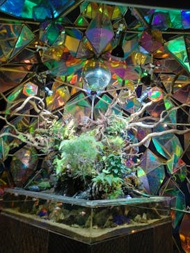 NARA KINGYO MUSEUMに投稿された画像（2024/7/14）