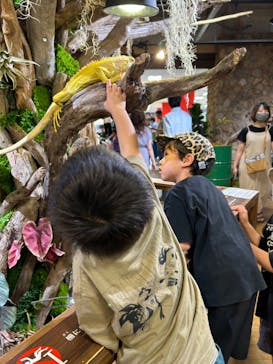 NARA IKIMONO MUSEUMに投稿された画像（2024/7/14）