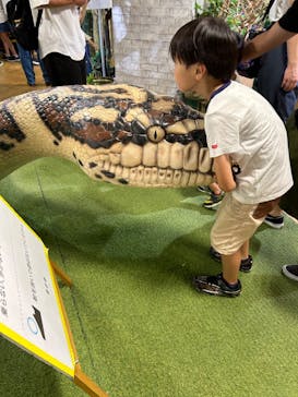 NARA IKIMONO MUSEUMに投稿された画像（2024/7/14）