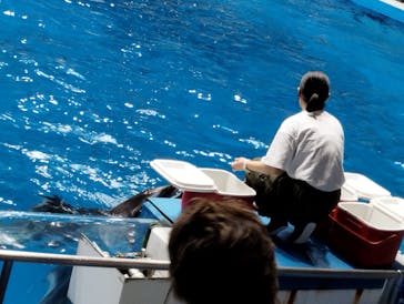 マクセル アクアパーク品川に投稿された画像（2024/7/14）