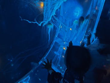 マクセル アクアパーク品川に投稿された画像（2024/7/14）