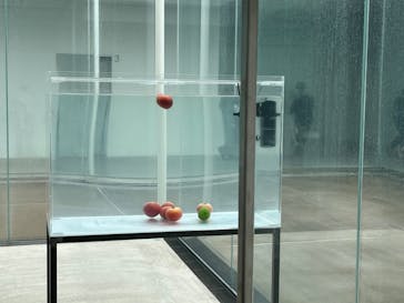 金沢21世紀美術館に投稿された画像（2024/7/14）