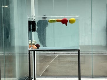 金沢21世紀美術館に投稿された画像（2024/7/14）