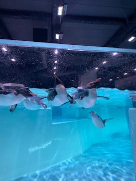 AOAO SAPPOROに投稿された画像（2024/7/14）