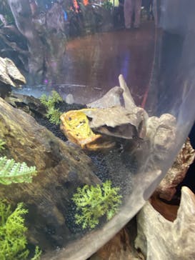 NARA IKIMONO MUSEUMに投稿された画像（2024/7/14）