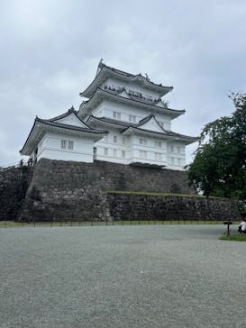 小田原城に投稿された画像（2024/7/14）