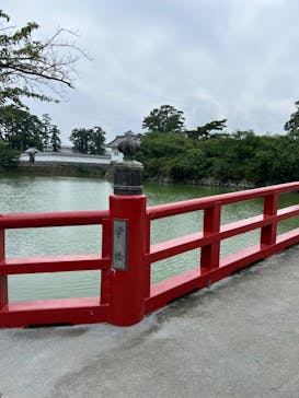 小田原城に投稿された画像（2024/7/14）