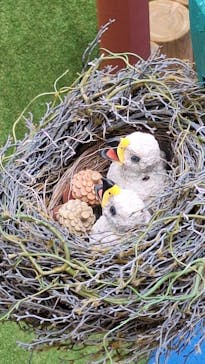 モビリティリゾートもてぎに投稿された画像（2024/7/14）