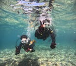 沖縄マリンサービス碧に投稿された画像（2024/7/14）