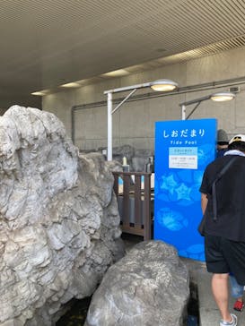 葛西臨海水族園に投稿された画像（2024/7/14）