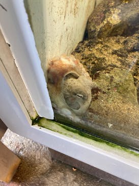 葛西臨海水族園に投稿された画像（2024/7/14）