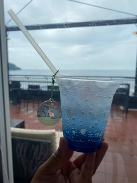 新江ノ島水族館に投稿された画像（2024/7/14）