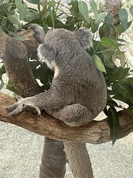 淡路ファームパーク イングランドの丘に投稿された画像（2024/7/14）