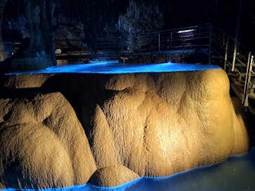 おきなわワールドに投稿された画像（2024/7/14）