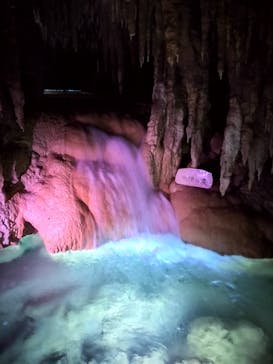 おきなわワールドに投稿された画像（2024/7/14）