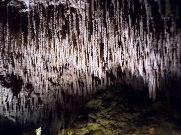 おきなわワールドに投稿された画像（2024/7/14）