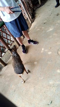 横浜・八景島シーパラダイスに投稿された画像（2024/7/14）