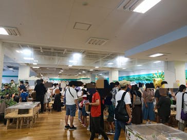 いきもの探検隊湘南に投稿された画像（2024/7/14）