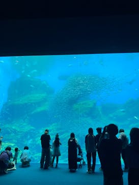 仙台うみの杜水族館に投稿された画像（2024/7/14）
