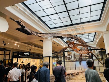 国立科学博物館に投稿された画像（2024/7/14）