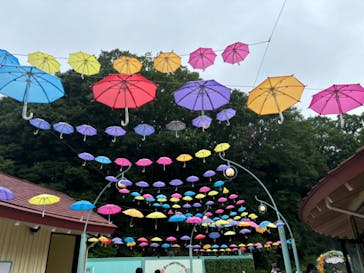 ムーミンバレーパークに投稿された画像（2024/7/14）